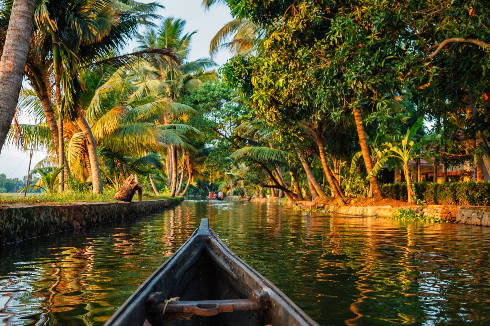 Kerala backwaters canoeing|